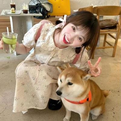 倾物语